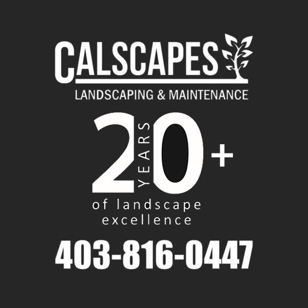 Calscapes_20PlusYears